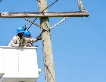 ETED realizar&aacute; jornadas de mantenimiento para fortalecer la red de transmisi&oacute;n el&eacute;ctrica