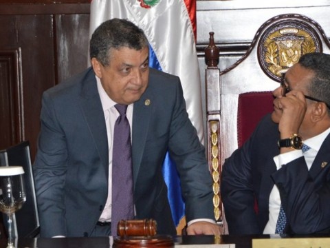 PLD y Fuerza del Pueblo mantienen su lucha por la segunda mayor&iacute;a en el Senado