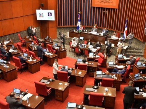 C&aacute;mara de Diputados aprueba en primera lectura ley que regula patrimonio empresarial y crea el CENEFIP