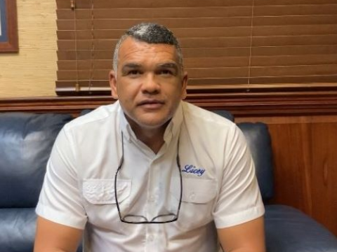 Tigres del Licey anuncian pr&aacute;cticas con miras beisbol profesional RD