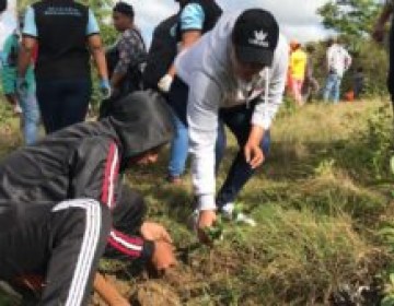 Siembran cientos de &aacute;rboles en entrada depredada de Sabana Grande de Boy&agrave;