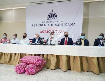 Gobierno comprará 100 mil quintales de cebolla para estabilizar el precio del producto