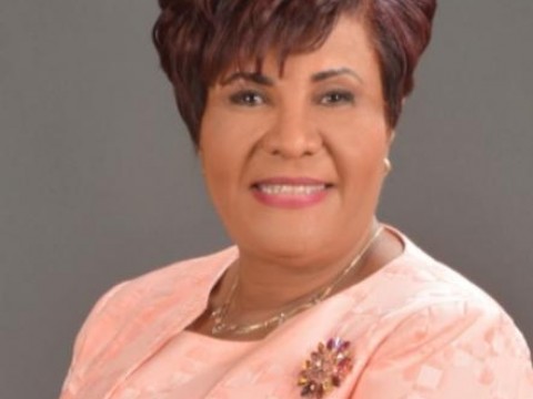 Josefa Castillo: Gobierno de Luis  Abinader rescat&oacute;  Sector  Asegurador con cifras de crecimiento r&eacute;cord 