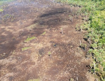 Fuerza A&eacute;rea sofoca incendio registrado en las inmediaciones del Aeropuerto Internacional de Punta Cana