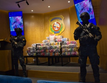Incautan 1,200 kilos coca&iacute;na en el puerto Caucedo