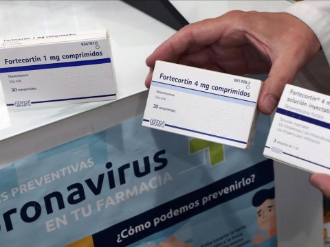 OMS recomienda  incrementar producci&oacute;n y distribuci&oacute;n masiva de dexametasona