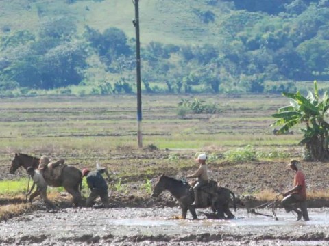 Informe revela cu&aacute;les son las provincias con m&aacute;s p&eacute;rdida de actividades agr&iacute;colas