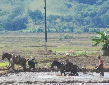 Informe revela cu&aacute;les son las provincias con m&aacute;s p&eacute;rdida de actividades agr&iacute;colas