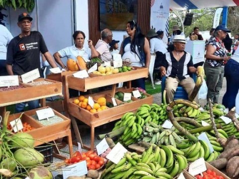 Agricultura: producci&oacute;n agropecuaria ya supera los 380 millones de quintales