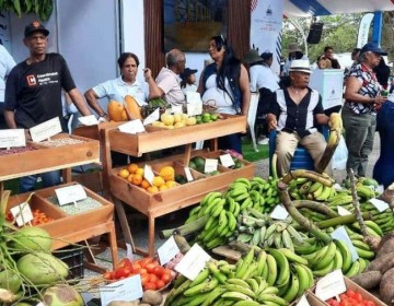 Agricultura: producci&oacute;n agropecuaria ya supera los 380 millones de quintales