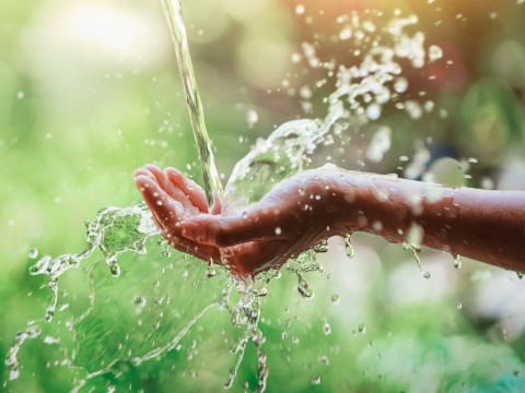 D&iacute;a Mundial del Agua
