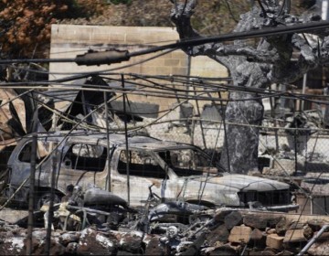 Los muertos por los incendios en Haw&aacute;i suben a 106, solo cinco han sido identificados