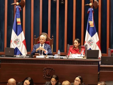 El Senado aprueba proyecto de ley de nuevo C&oacute;digo Penal y deja fuera las tres causales del aborto