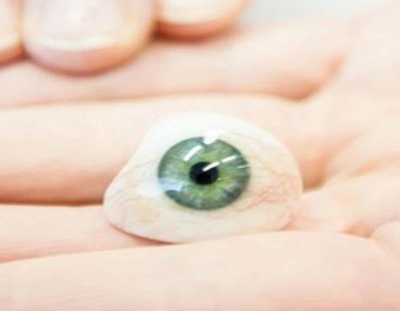 Un londinense recibir&aacute; la primera pr&oacute;tesis ocular impresa en 3D