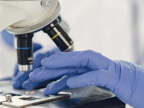 Una bacteria intestinal que contiene &aacute;cido sulf&uacute;rico nos protege contra la salmonella