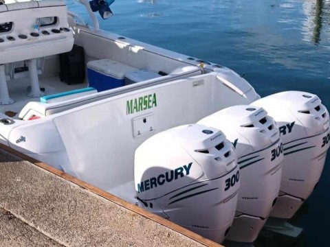 Muere mujer en accidente de bote en Palmilla