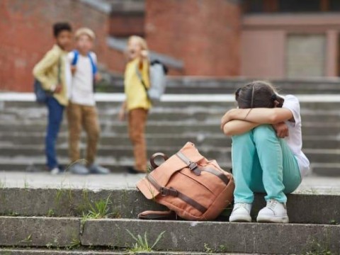 D&iacute;a Mundial contra el Bullying: la delgada l&iacute;nea entre el "relajo pesado" y el acoso escolar