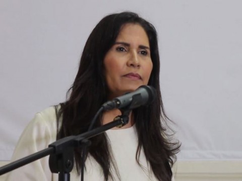Maritza Hern&aacute;ndez considera Gobierno del PRM act&uacute;a de acuerdo al movimiento de las olas