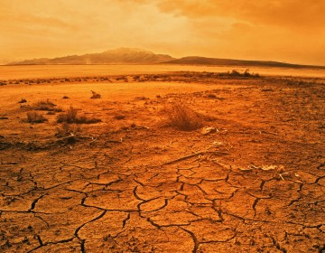 ONU: El tiempo se agota para evitar la sexta extinci&oacute;n masiva del planeta