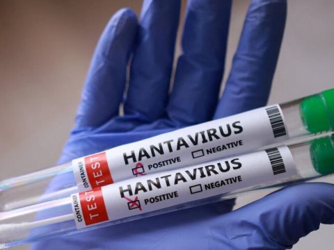 Canad&aacute; eleva a seis el n&uacute;mero de personas aisladas en el pa&iacute;s por riesgo de hantavirus