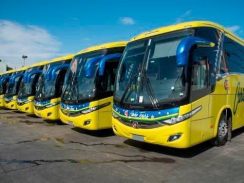 Autobuses Caribe Tours y Metro no est&aacute;n viajando a Hait&iacute;