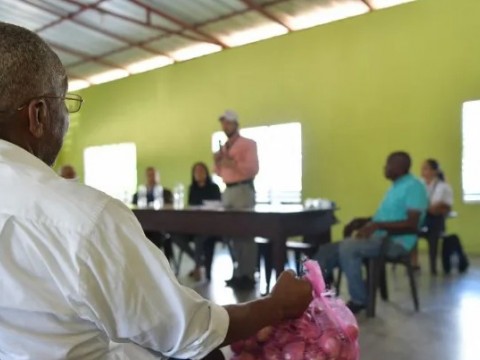 Tecnificar&aacute;n m&aacute;s de cuatro mil tareas de cebolla en Palenque para mejorar productividad