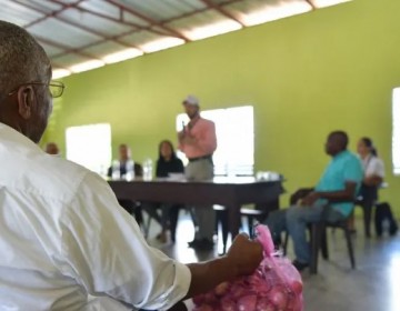 Tecnificar&aacute;n m&aacute;s de cuatro mil tareas de cebolla en Palenque para mejorar productividad