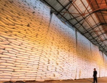 Central Romana tiene el 62.84 % de la cuota de az&uacute;car de RD a Estados Unidos