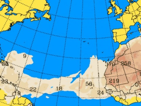 Indomet pone fin a las alertas por lluvias: lunes con cielo despejado y leve polvo del Sahara
