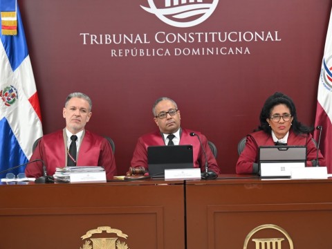 Inclusi&oacute;n, C&oacute;digo Penal y r&eacute;gimen electoral centran audiencia del TC con 23 acciones de inconstitucionalidad