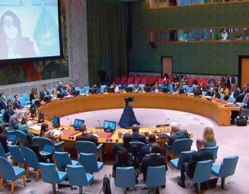 Pa&iacute;ses muestran preocupaci&oacute;n en la ONU por aumento de la violencia en Hait&iacute;