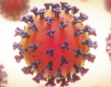 Contagios por Covid-19 promedian 181 en los primeros seis d&iacute;as de marzo