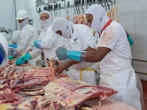 Denuncian la suspensi&oacute;n de permisos para la importaci&oacute;n de carne de pollo, res y cerdo