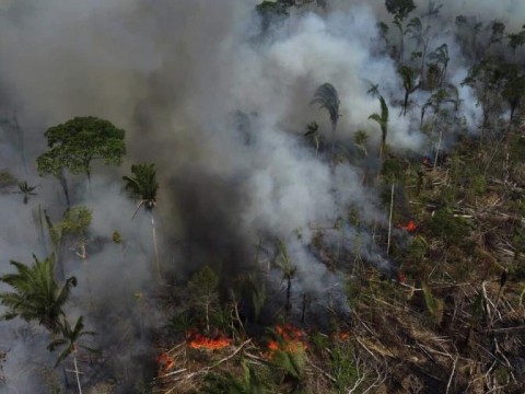 Los gobiernos se re&uacute;nen para hablar sobre la Amazon&iacute;a. 