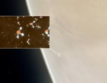 El Venus contiene fosfina, gas reconocido por su origen biol&oacute;gico
