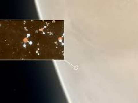 El Venus contiene fosfina, gas reconocido por su origen biol&oacute;gico