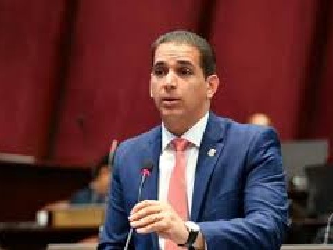 PLD confirma su participaci&oacute;n en reuni&oacute;n del CNM