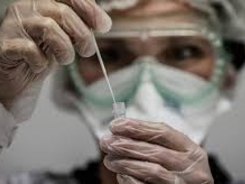 Descubren dos nuevas cepas del COVID-19 en EE.UU altamente contagiosas