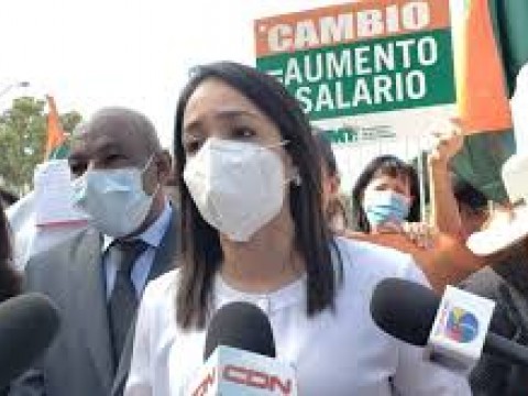 Senadora Faride Raful apoya las tres causales del aborto en el C&oacute;digo Penal, no en una ley especial