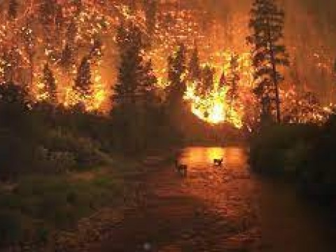 Ciencia admite ya efectos irreversibles del cambio clim&aacute;tico en el planeta