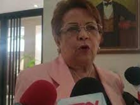 Alejandrina Germ&aacute;n visita Congreso para investigar diputados del PLD 