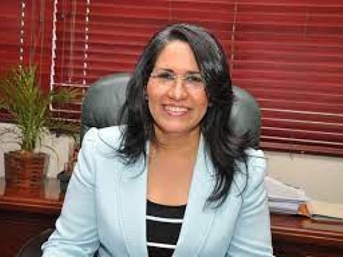 Maritza Hern&aacute;ndez considera Gobierno del PRM act&uacute;a de acuerdo al movimiento de las olas