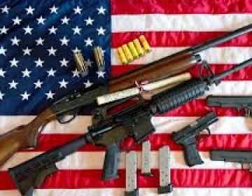 "Panico en EE.UU" se activa la compra de armas dias antes de las elecciones 