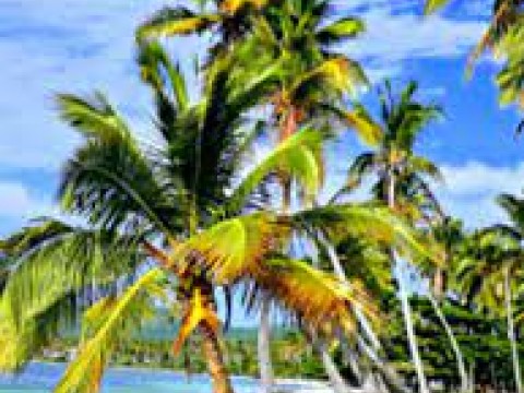 Max Puig: Las costas de RD pueden verse devastadas por el cambio clim&aacute;tico y despojar la naci&oacute;n caribe&ntilde;a del turismo