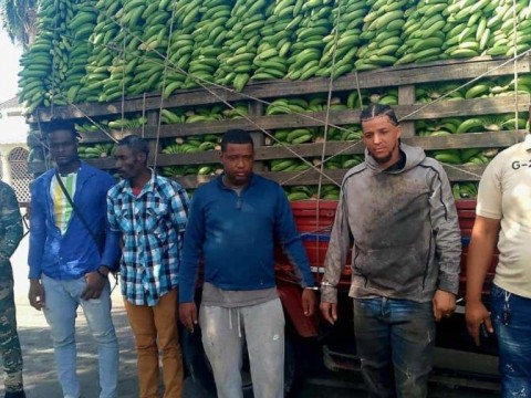 Detienen a dos dominicanos que ocultaban indocumentados en un cami&oacute;n cargado de guineos verdes