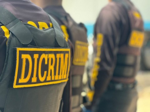 Dicrim arresta a 13 personas y ocupa tres armas ilegales en 24 horas