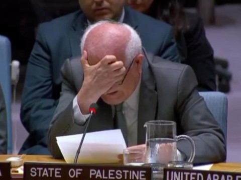 Diplom&aacute;tico palestino rompe a llorar ante Consejo de Seguridad de la ONU