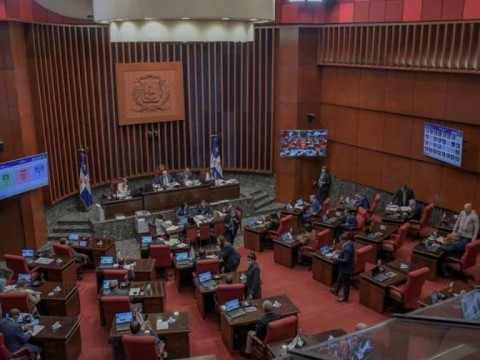 Senadores discuten por adenda de Aerodom que suma US$775 millones al Presupuesto 2024