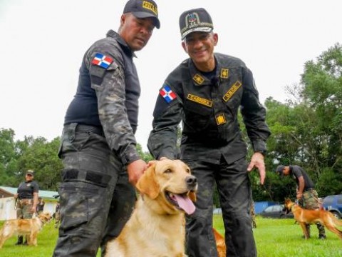 La DNCD incorpora 55 nuevos perros para reforzar la lucha contra el narcotr&aacute;fico