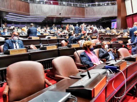 Diputados aprueban en primera lectura proyecto que crea Empresa Generadora de Electricidad Punta Catalina